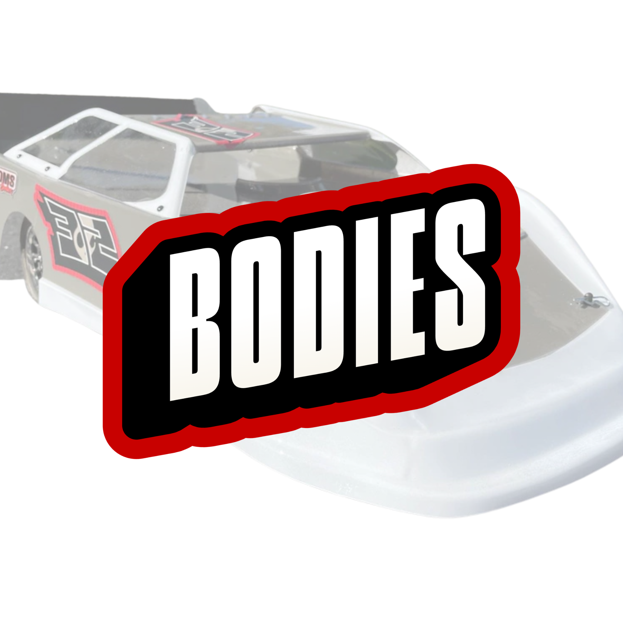 Bodies