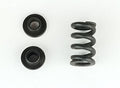 Custom Works SLIPPER SPRING 4487