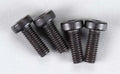 Custom Works 3MM CAP HEAD MOTOR SCREWS (4) 5290