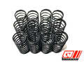 Big Bore Rated Shock Springs In Pairs